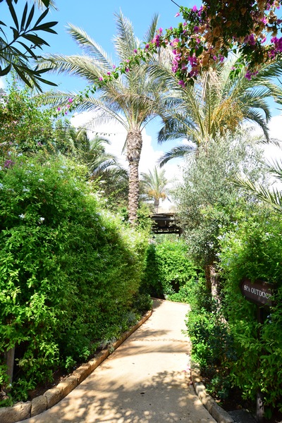 Sunday At Edde Sands